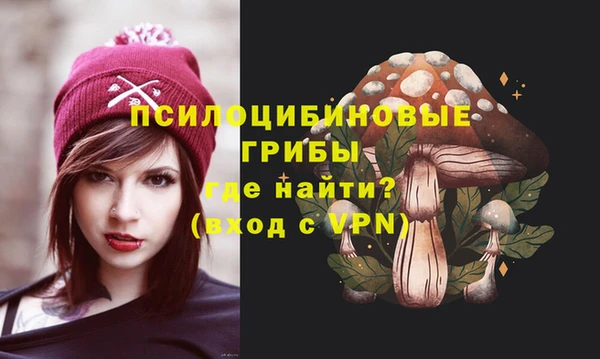 спайс Краснослободск